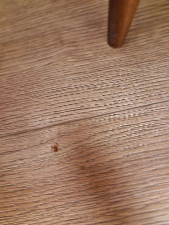 Zimmer Seaden Quality Resort & Spa