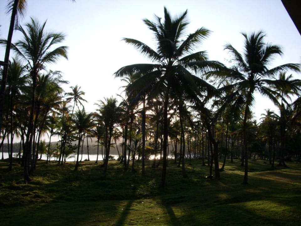 Sonnenaufgang Wyndham Alltra Samana