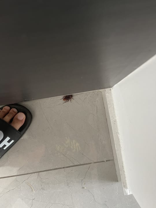 Zimmer Virginia Family Resort