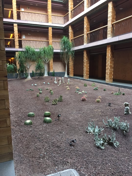 Zimmer Lopesan Baobab Resort