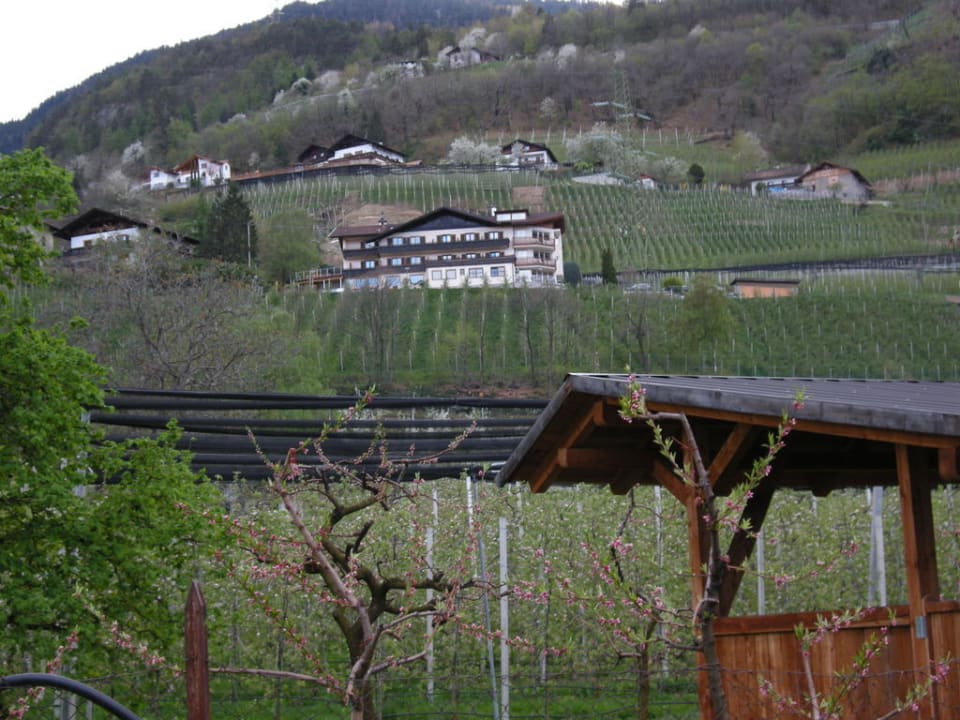 Der Bühlerhof (Bildmitte) Panorama Hotel Garni Bühlerhof
