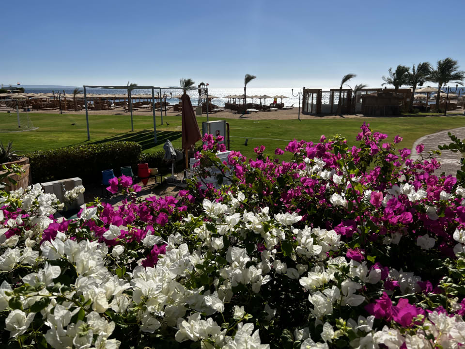 Außenansicht Hotel Mercure Hurghada