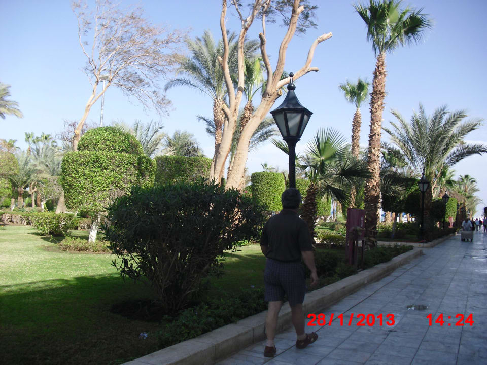 Weg zum Meer The Grand Hotel Hurghada
