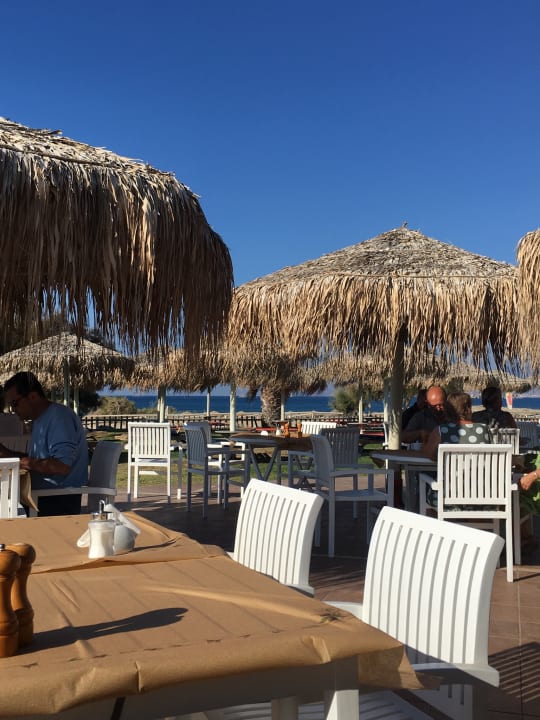 Gartenanlage Plaza Beach Hotel