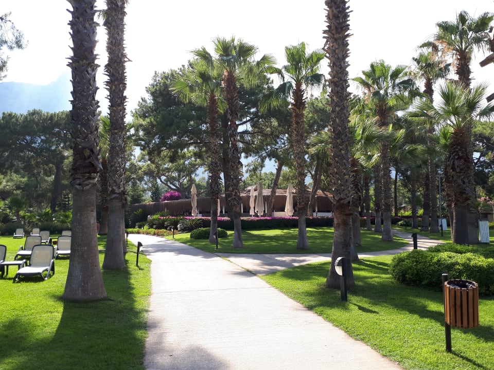 Gartenanlage Balmy Foresta