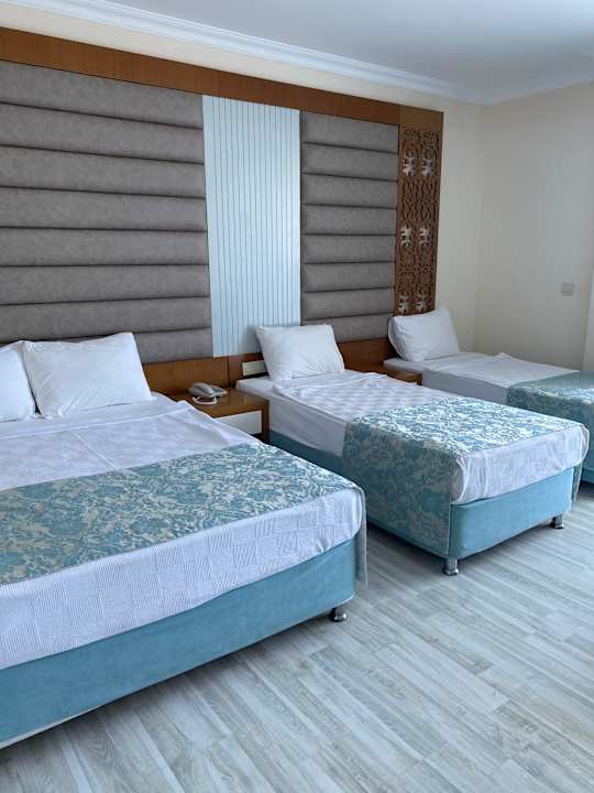 Zimmer Concordia Celes