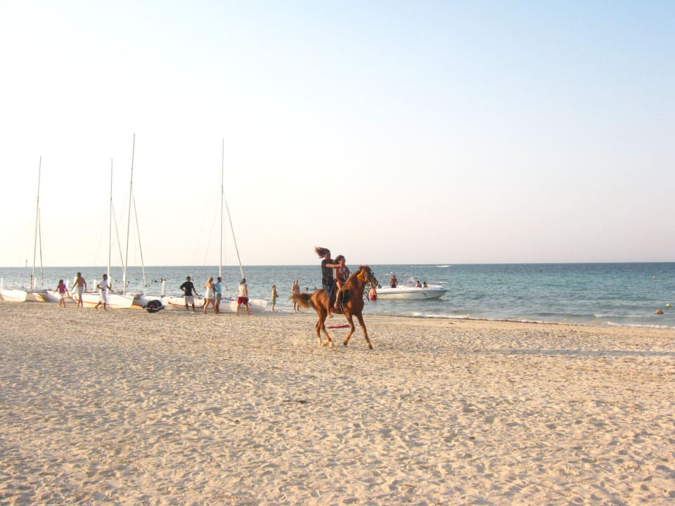 Ausritt am Strand Calimera Yati Beach
