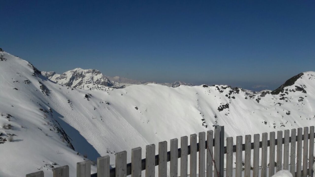 Ausblick Hotel Alpenrose