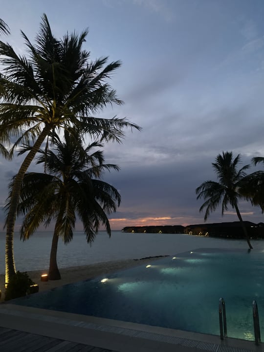 Pool Vilamendhoo Island Resort & Spa
