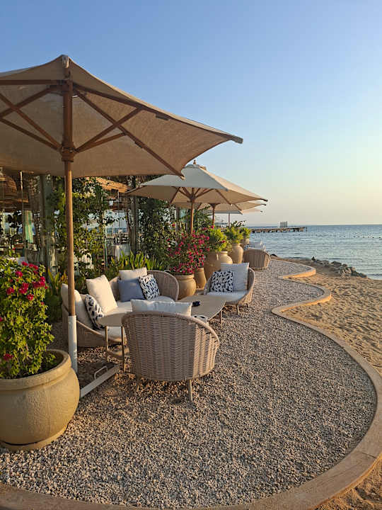 Ausblick Desert Rose