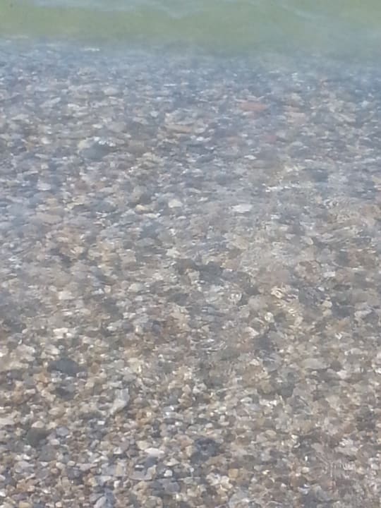 Strand Hotel Royal Garden Beach