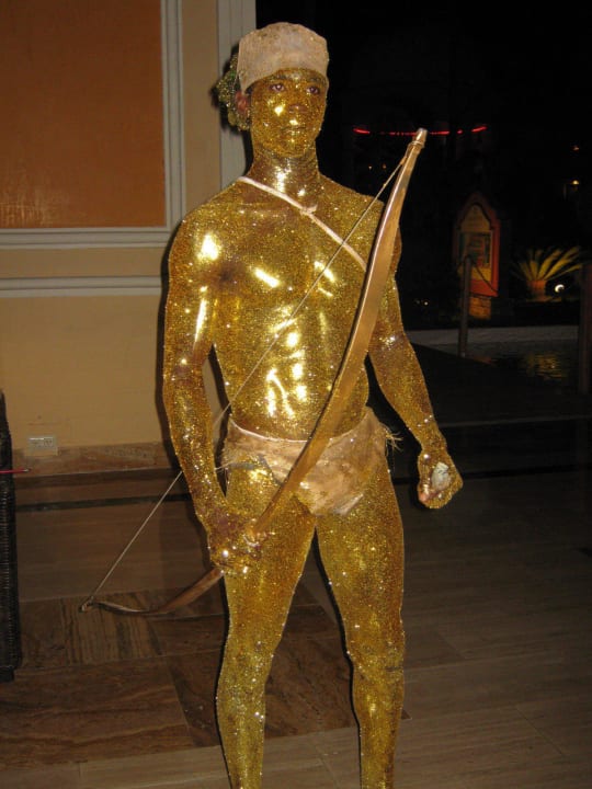 Moskito in Aktion!!Klasse!Danke! Majestic Elegance Punta Cana