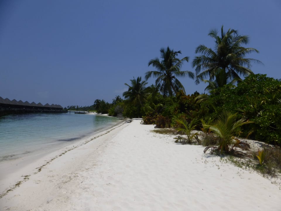 Strand an der Nordseite der Insel Kuredu Island Resort & Spa