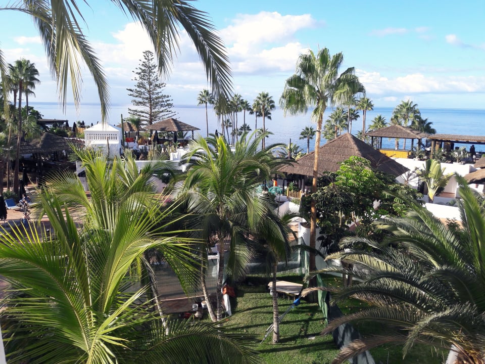 Ausblick Dreams Jardín Tropical