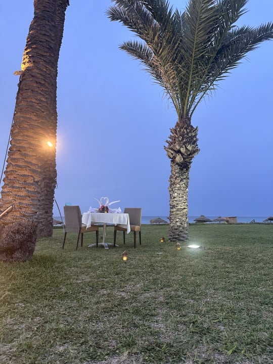 Gartenanlage Iberostar Selection Kuriat Palace