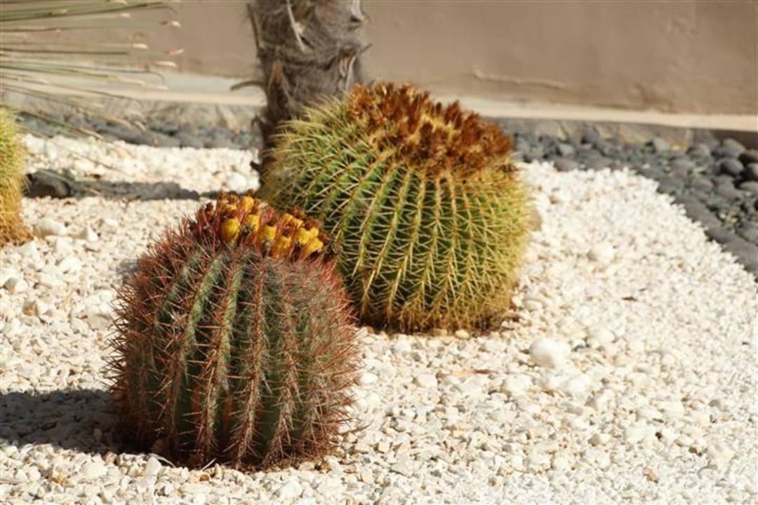 Hotel Esperia Hotel Esperia