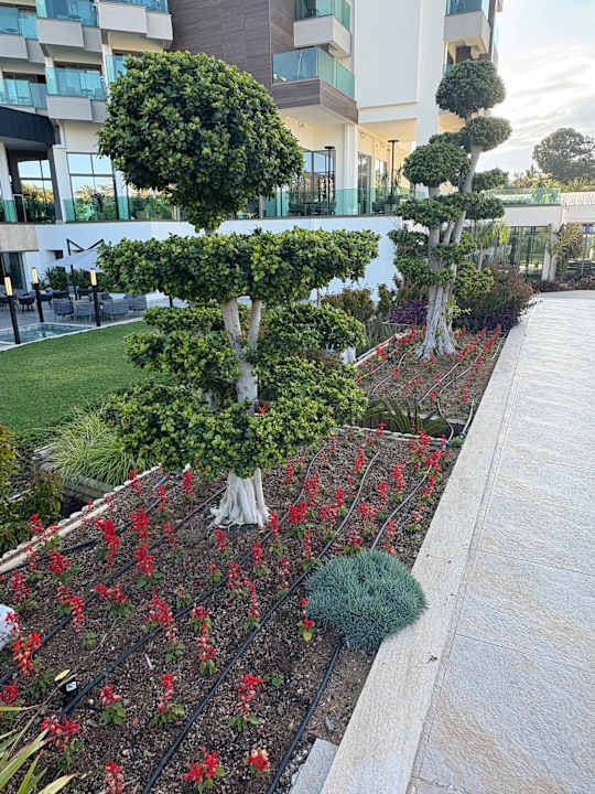 Gartenanlage Süral Saray Hotel