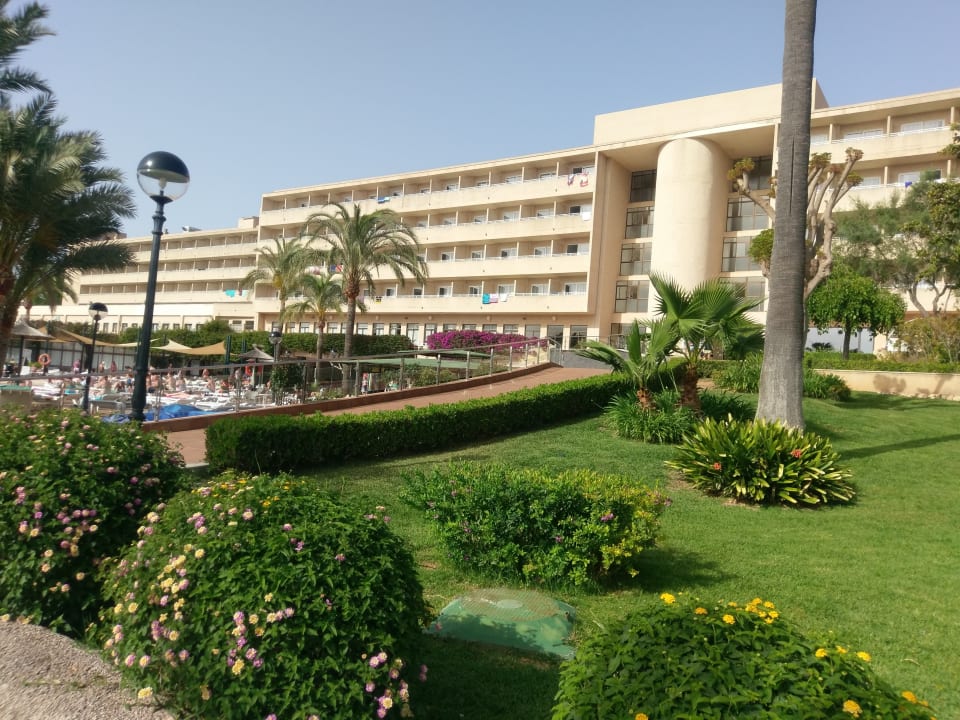 Gartenanlage Hotel Club Cala Romani