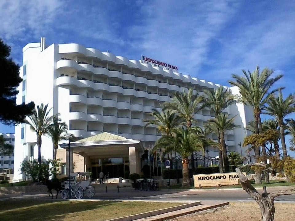 Hotel Hipocampo Playa Hipotels Hipocampo Playa