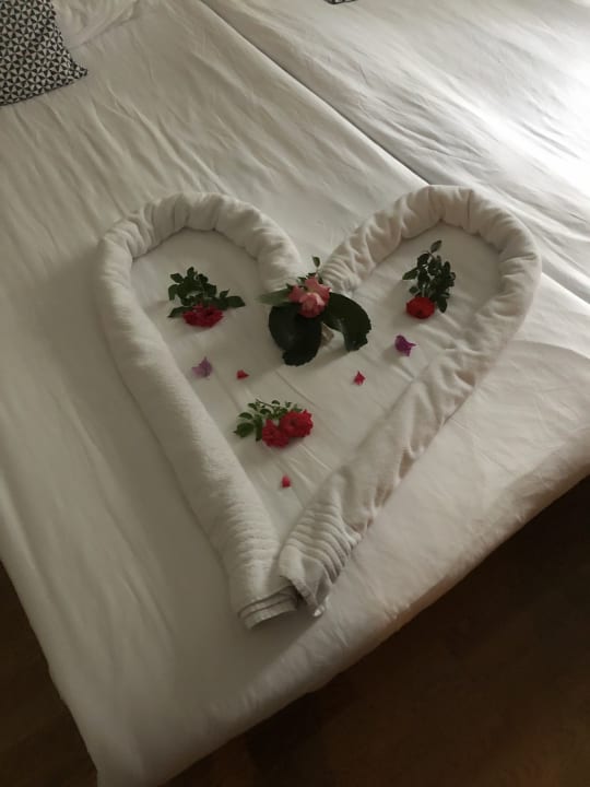 Zimmer Arum Barut Collection