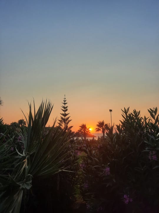 Gartenanlage Acapulco Beach Club & Resort