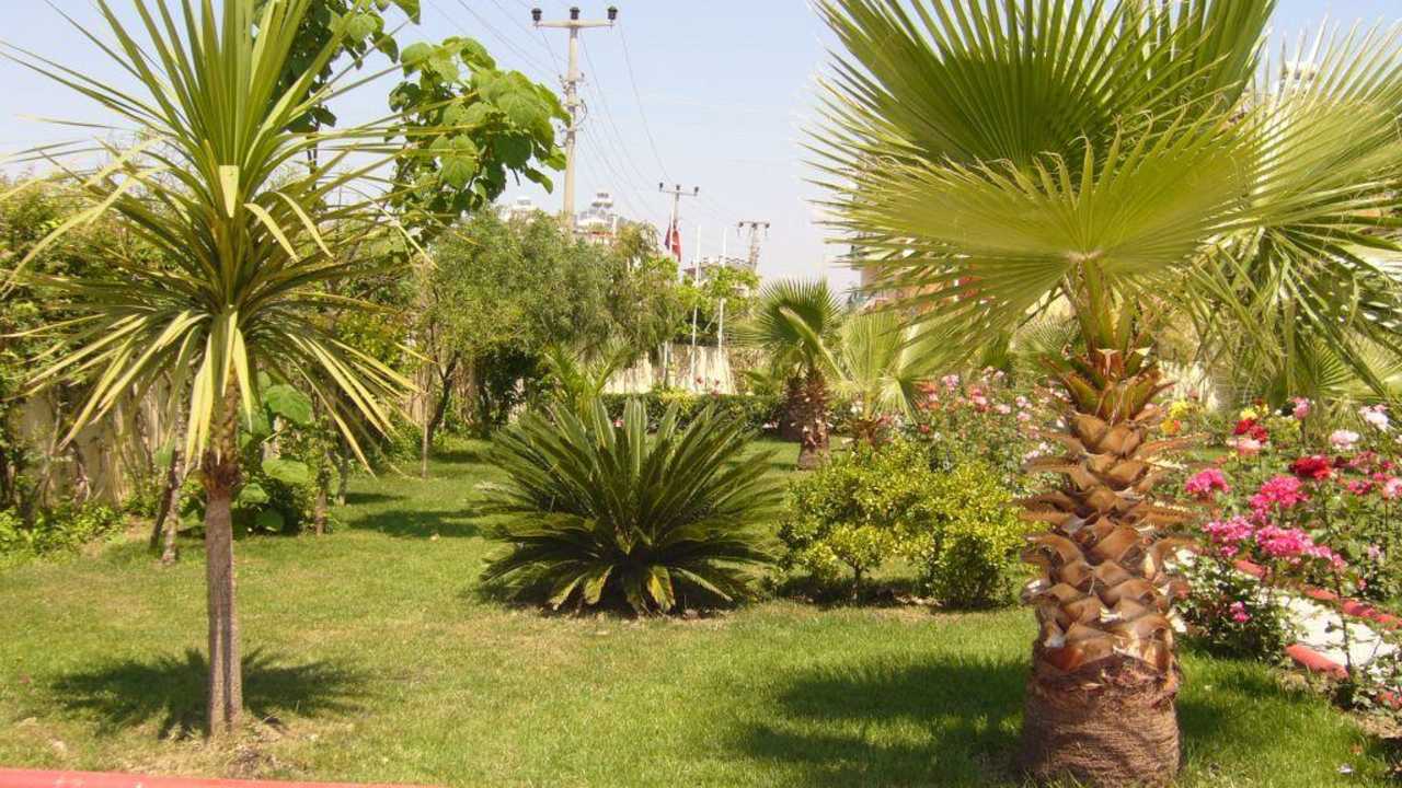 Garten Hotel Özgürhan Hotel Özgürhan