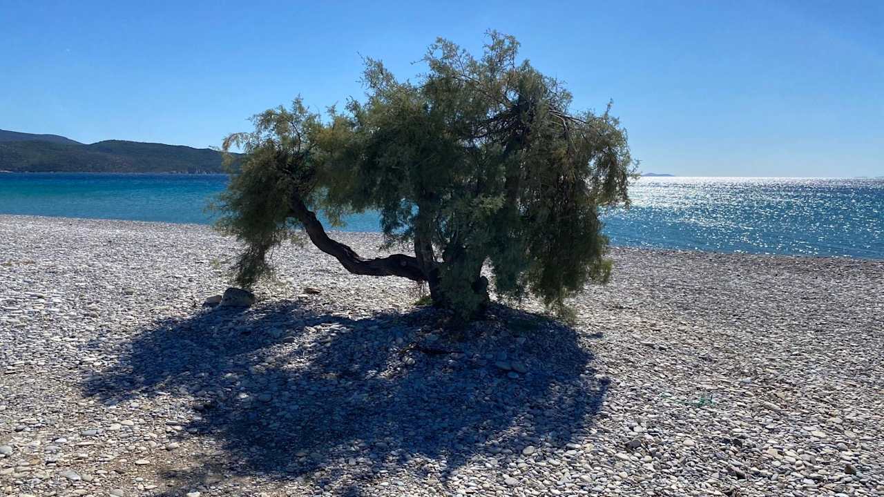 Strand Hotel Saint Nicholas