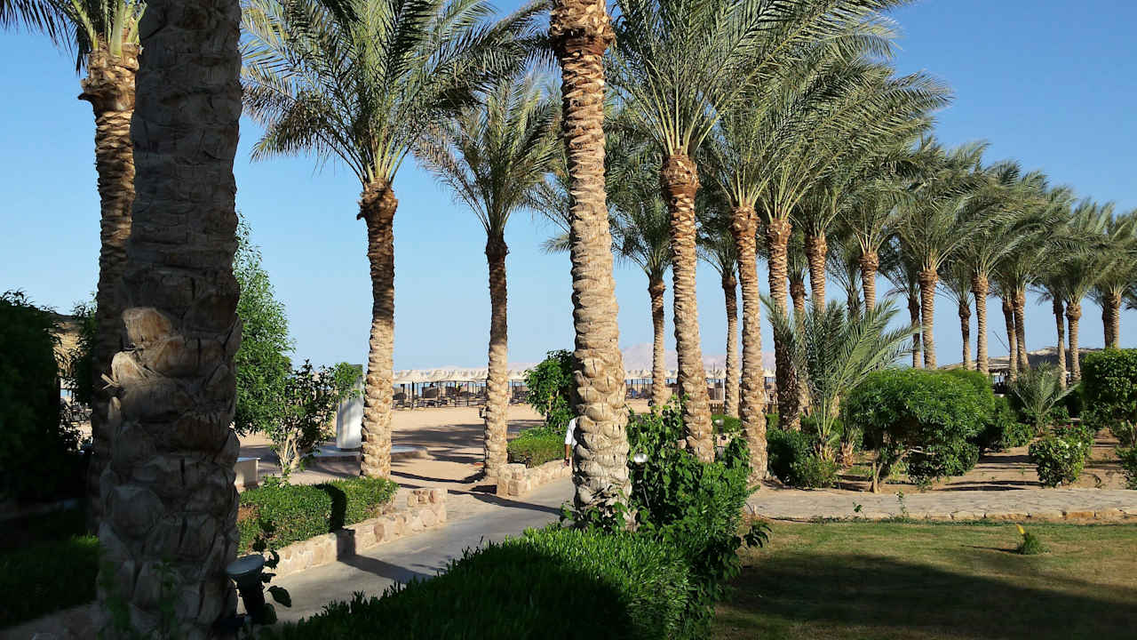 Hotel Jaz Mirabel Beach JAZ Mirabel Beach