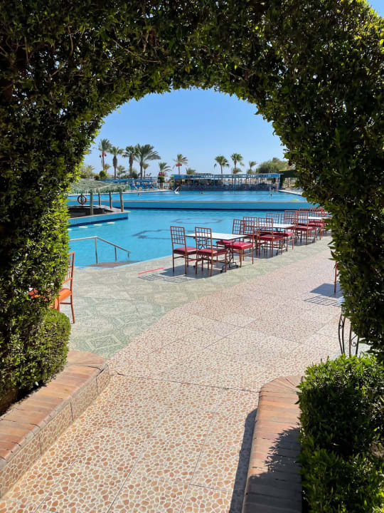 Pool Arabia Azur Resort