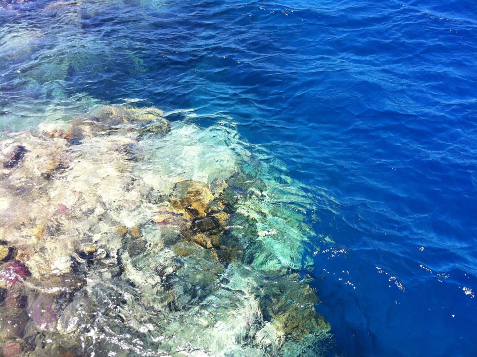 Hausriff The Oasis Dive Resort