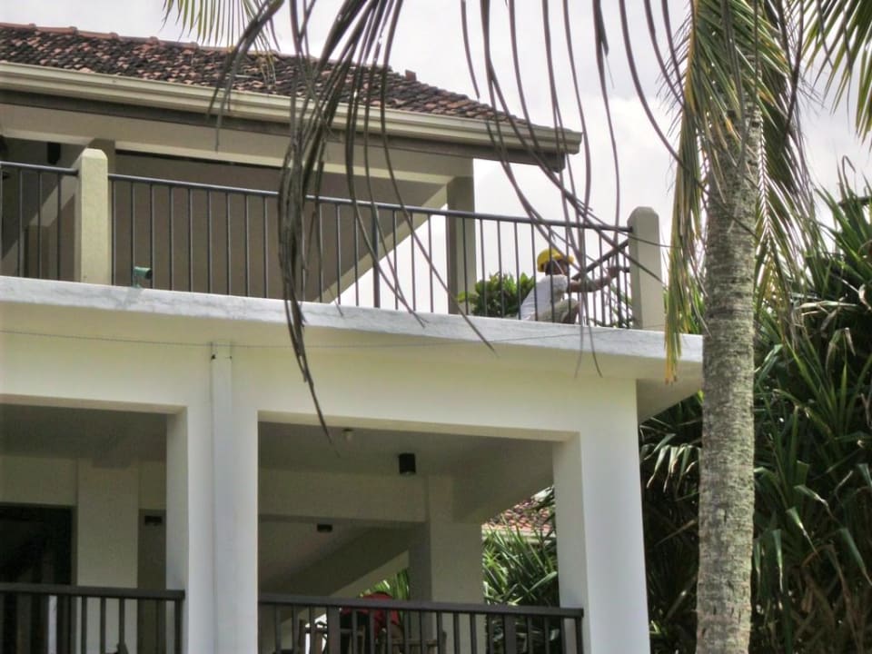 Malermeister Earl’s Reef Beruwala