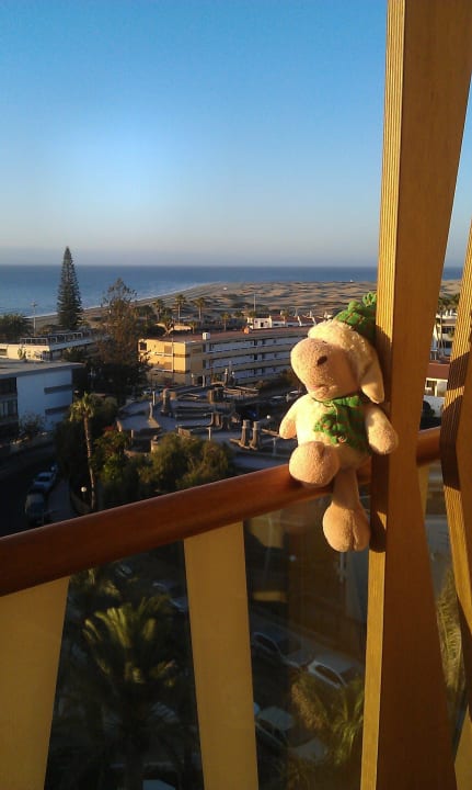 Schaaf auf der Terrasse  Bohemia Suites & Spa - Adults only