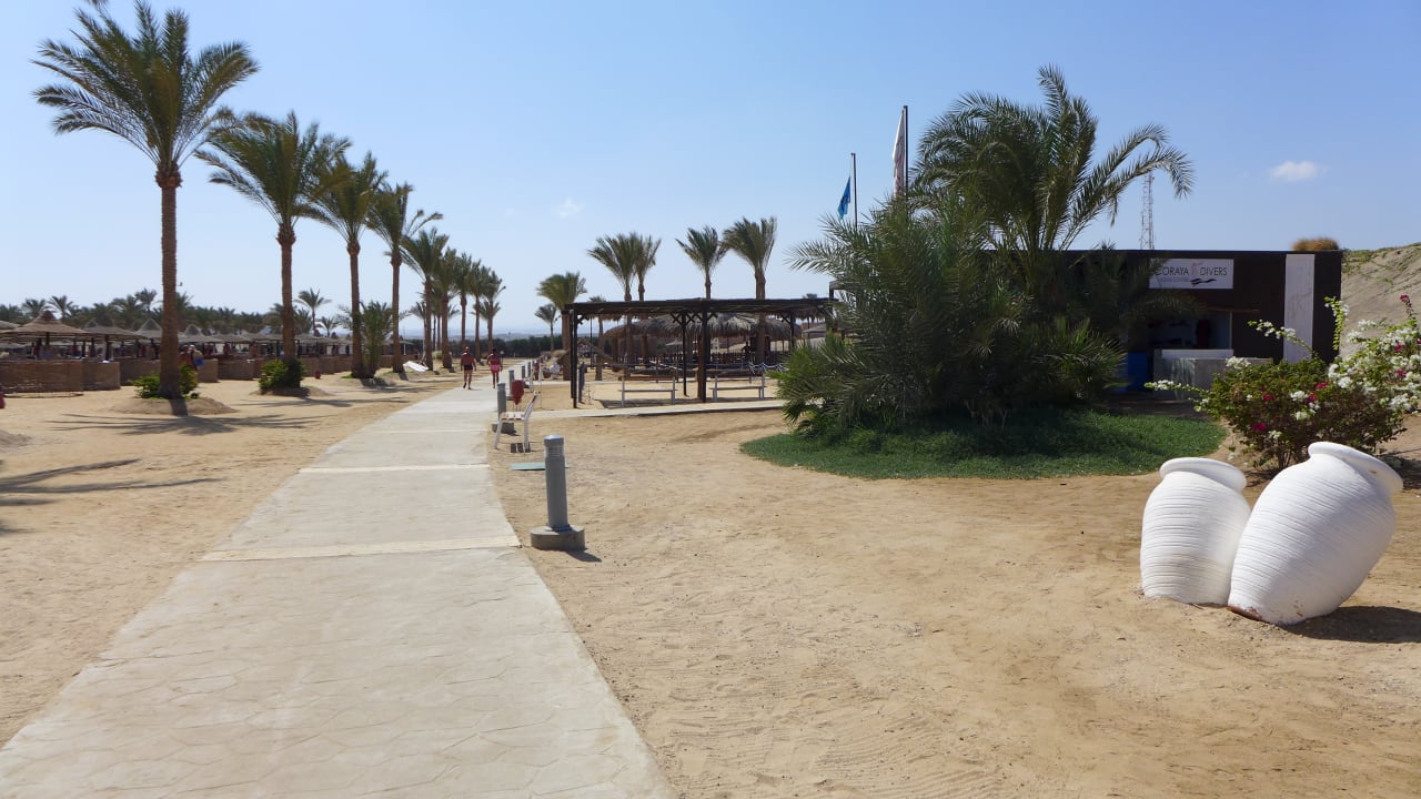 Gartenanlage Steigenberger Coraya Beach - Adults only