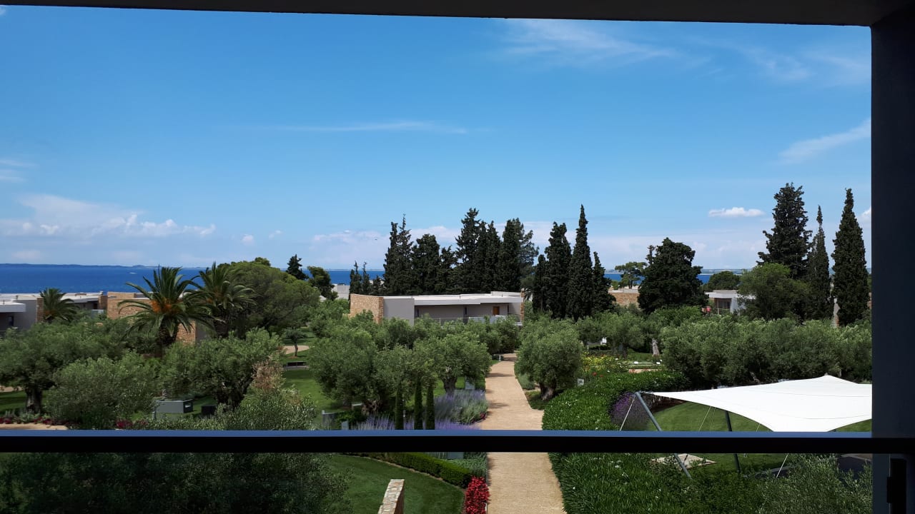 Ausblick Ikos Olivia