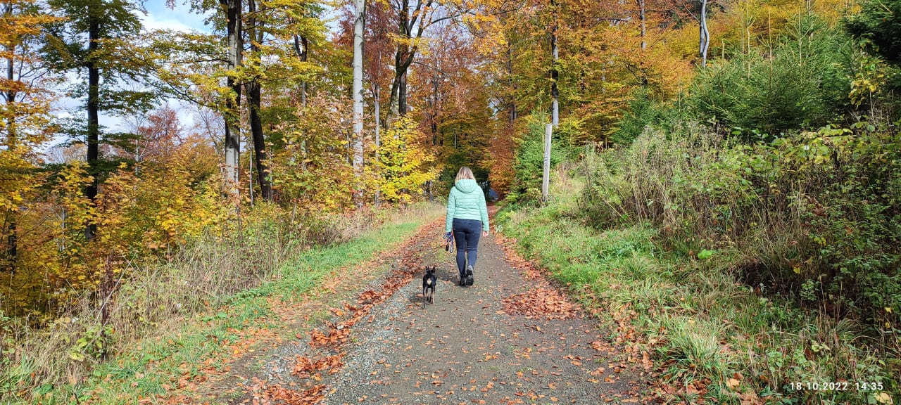 Ausblick Berghotel Hoher Knochen