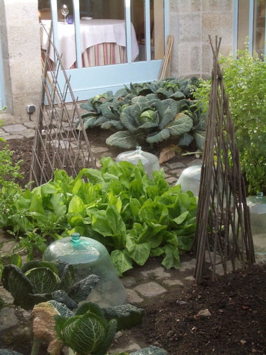 Le potager L'Auberge Bretonne Hôtel-Restaurant
