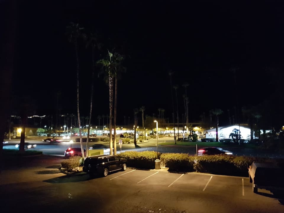 Ausblick Joie de Vivre Hotel The Saguaro Palm Springs
