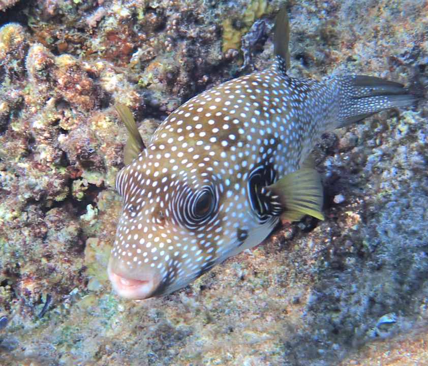 Sonstiges Casa Mare Resort