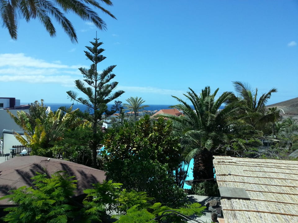 Ausblick allsun App.-Hotel Esquinzo Beach