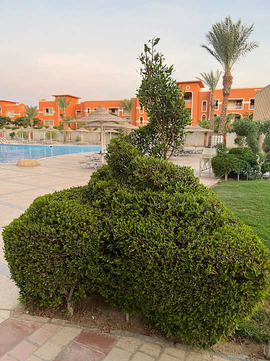 Gartenanlage Jaz Soma Beach