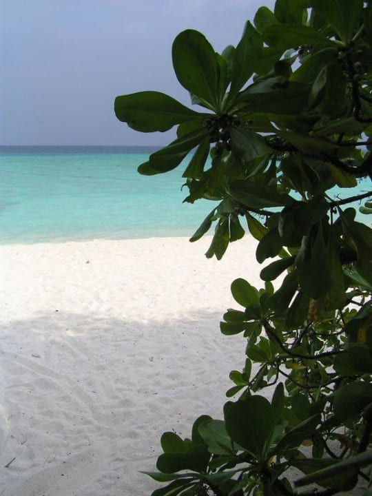 Blick von Bungi Nr. 5 Summer Island Maldives