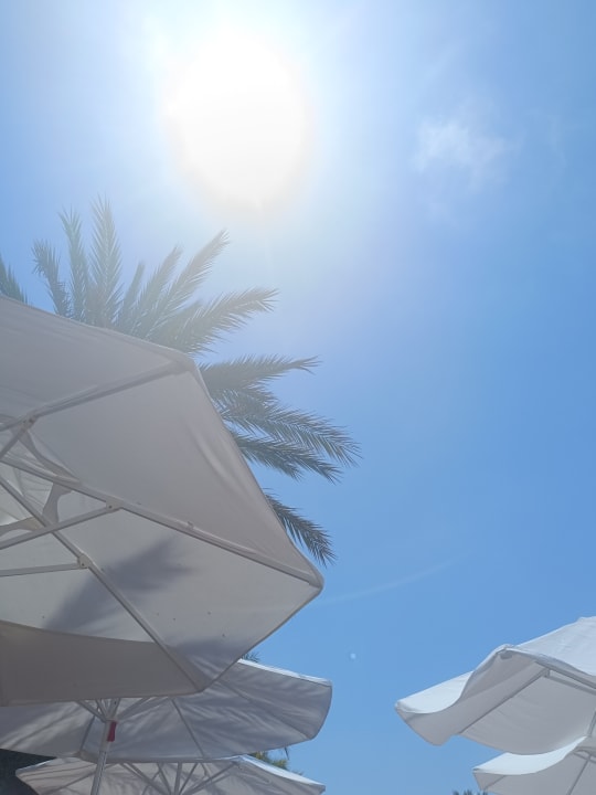 Pool Quattro Beach Spa & Resort