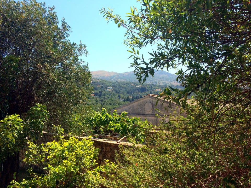 Widok z hotelu Michelangelo Resort