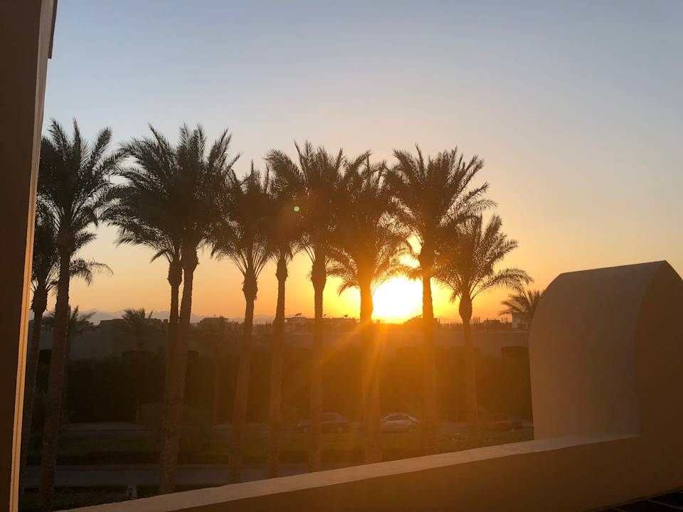 Ausblick Steigenberger Aqua Magic