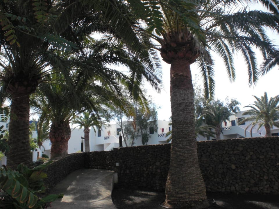 Wahrscheinlich ehemaliger Poolbereich Relaxia Olivina