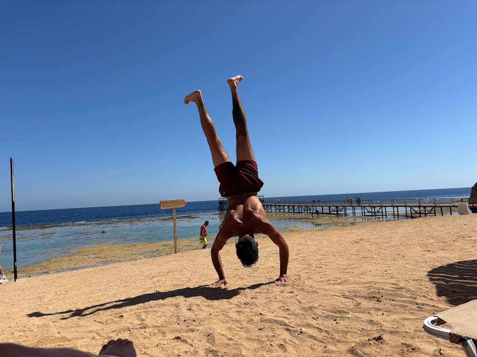 Strand JAZ Neo Reef Marsa