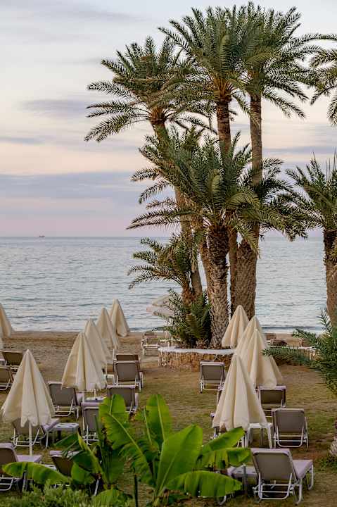 Strand Zeus Hotels Palm Beach