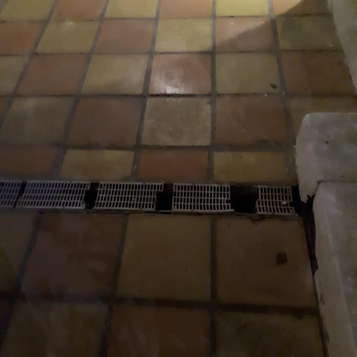 Gartenanlage Hotel Nesrine