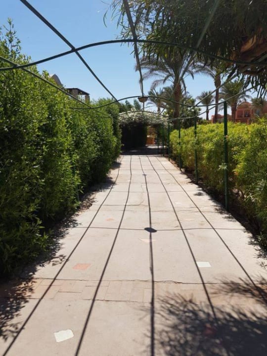 Road to the beach Jaz Aquaviva