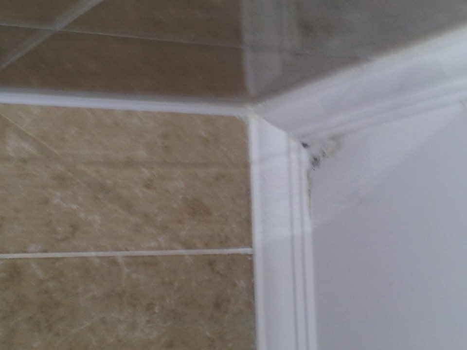 Bad mit Schimmel inkl. Hotel Club Paradiso